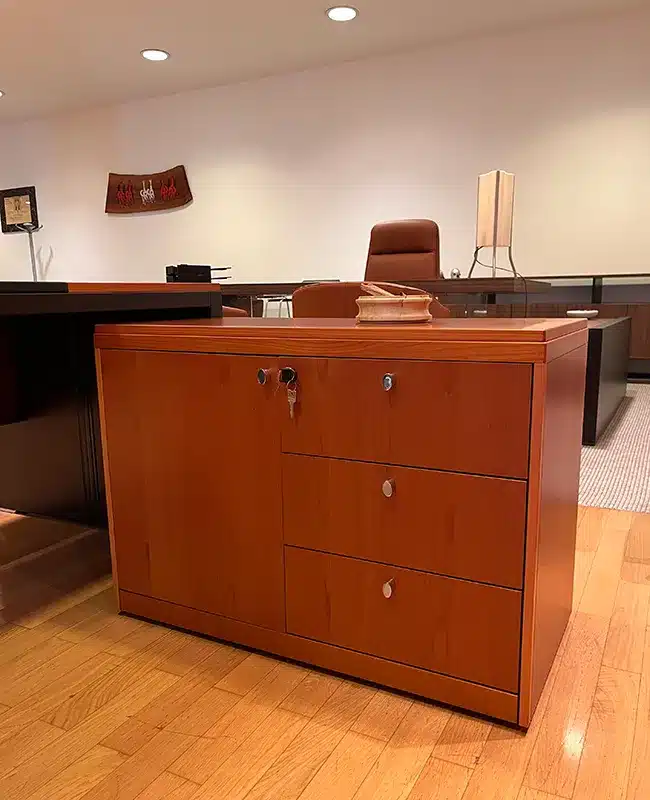 ufficio direzionale
